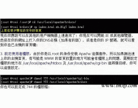 设定Linux Web 服务器(4)