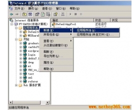 Win2003 IIS 6.0 假死问题解决方法 图文教程