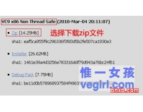 IIS+FastCGI+PHP5.3+MySQL5.1+Gzip配置图文详细教程